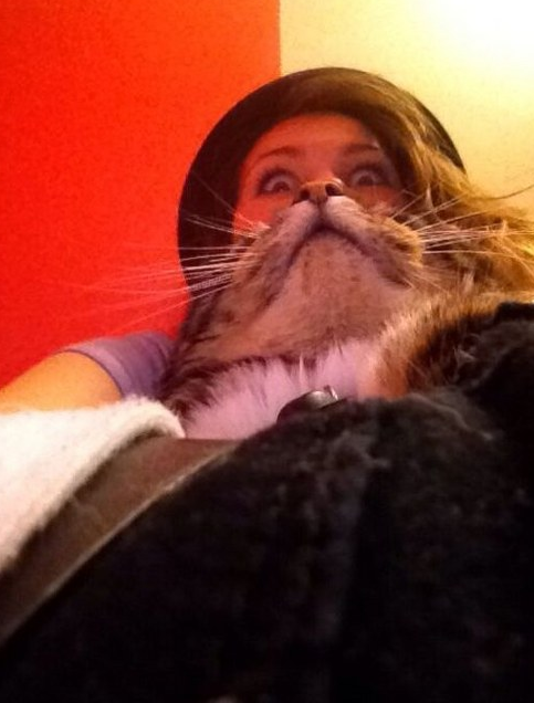 Tık rekoru kıran kareler!