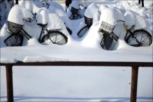 Sosyal Medya'da tık rekoru kıran kareler!